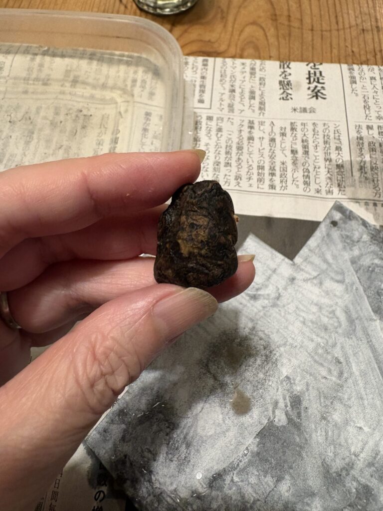 琥珀を磨いてみました